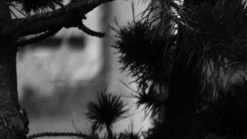 Esta imagen podría multiplicarse en muchas familias desalojadas durante el COVID-19.