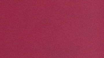 El subsecretario de Prevención y Promoción de la Salud del Gobierno de México, Hugo López-Gatell.