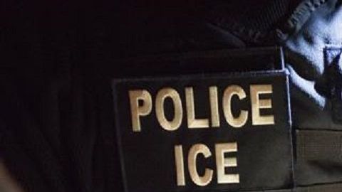 La entidad habría procesado 250 peticiones de ICE.
