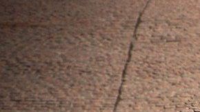 Por primera vez después de 8 años la rodada se realizaría a bordo se los autos clásicos más exclsivos.