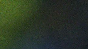 'Bofo' y Fabián brillaron en la Copa Libertadores de 2010.