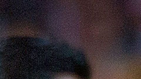 Pizarro y Almeyda son muy queridos por la afición.