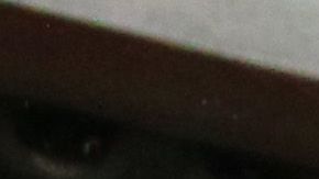 Norma fue campeona con Chivas.