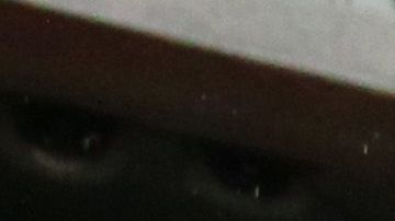 Norma fue campeona con Chivas.