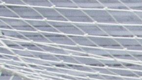 Los compadres festejaban de manera similar desde el 2006.