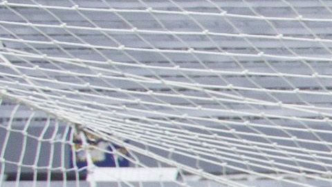 Los compadres festejaban de manera similar desde el 2006.