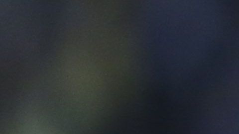 Diego Laínez anotó un gran gol ante los Pumas.