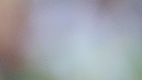 Agustín Marchesín tuvo grandes actuaciones con América.