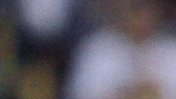 Los partidos entre Pumas y América suelen ser muy apasionados.