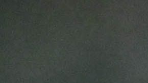 Vega habría tenido problemas de salud.