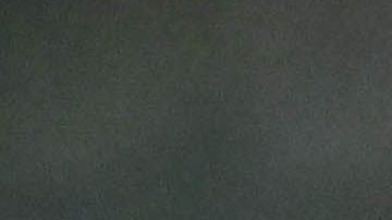 Vega habría tenido problemas de salud.