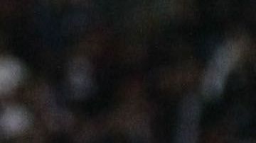 Chivas y Querétaro debían jugar este fin de semana.