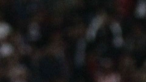 Chivas y Querétaro debían jugar este fin de semana.