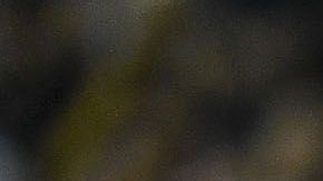 Antuna fue castigado por indisciplina.