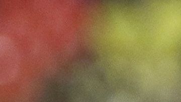 Miguel Herrera cumplió 600 partidos dirigiendo en la Liga MX.