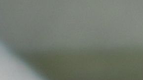 Haret Ortega es una de las nuevas promesas del América.