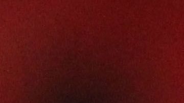 El estratega opina que aún le falta trabajo a la MLS para estar a la altura de la Liga MX.