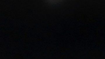 Ciudad de México, 29 de febrero de 2020. , durante el juego de la jornada 8 del torneo Clausura 2020 de la Liga BBVA MX, entre Aguilas del América y Rayos del Necaxa celebrado en el estadio Azteca. Foto: Imago7/