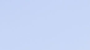 Una gran entrada se registró en el Olímpico Universitario.