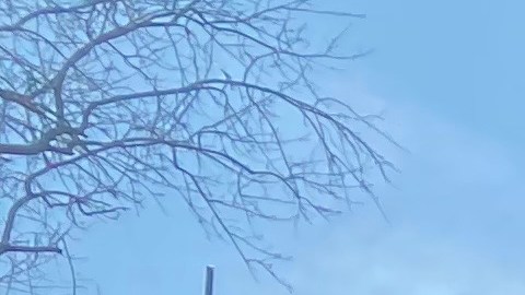 La rueda de prensa para exigir la liberación deMaría de los Ángeles Sanz Pimental.