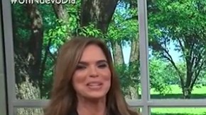 Myrka Dellanos en 'Un Nuevo Día'.