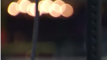 Quinnen Williams (22)