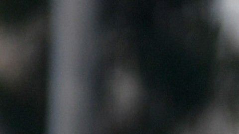Hay que darle marca personal a este par de compadres y lo que podrán brindar al club.