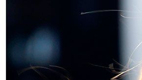 Este jueves iniciarán las charlas con 33 Federaciones Internacionales.