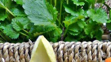 Una gran medida de prevención contra el riesgo de contagio de Covid-19, es el consumo de jugos naturales que fortalezcan al sistema inmune.