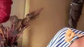 Asesinato de mujer en PR