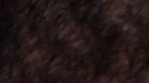 Brooklyn Nets Media Day