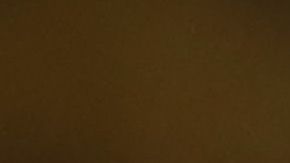 Argentina y el ‘Kun’ Agüero, seguirán en CONMEBOL con todo y la supuesta corrupción de la que han sido víctimas.