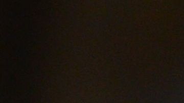 Un perro ayudó a salvar la vida de una anciana.