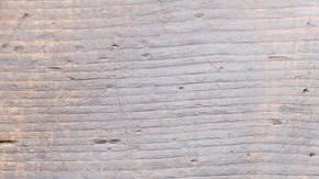 Langostinos-Lisovskaya-C