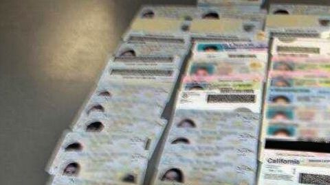 Licencias "chinas".
