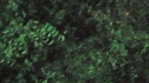 El significado de soñar que te persiguen.