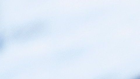 De acuerdo con los investigadores, las uvas tienen un alto contenido en antioxiantes y fibra, que les confieren un efecto benéfico en las bacterias intestinales.
