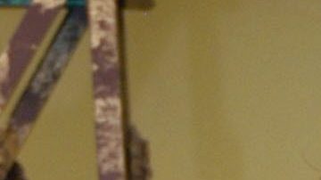 Mara Patricia Castaneda