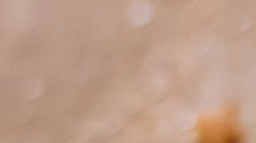 La margarina es un producto que afecta el sistema inmunológico y disminuye la reacción a la insulina.