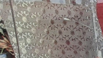 Mayra Fermín: muchos desde el principio se tomaron esto como un "relajo".