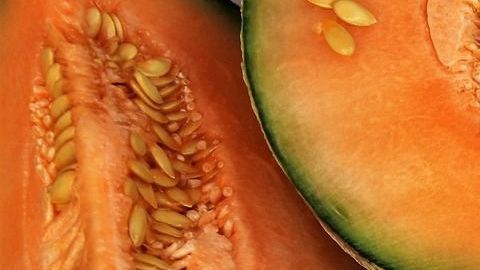 Melón