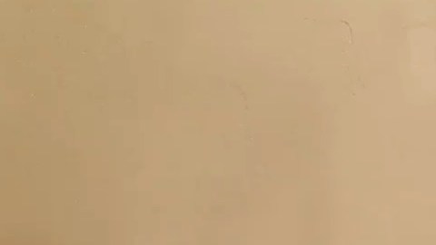 La pareja evió un mensaje a sus detractores en inglés y español.