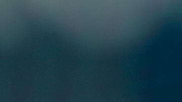 Manea se lució atajando el penal.