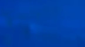 El vicepresidente Pence dio entrevista en CNN.