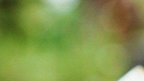 Atrae rápido la abundancia con estos rituales.