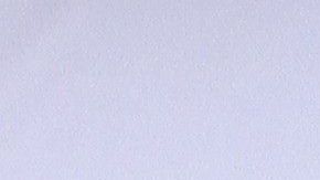 Ninel Conde en los Latin AMAs 2019 / Foto: Mezcalent