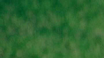 Hay muchas casas abiertas en el mercado inmobiliario para cerrar tratos pronto.