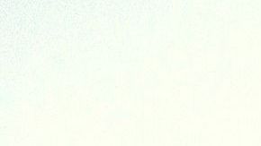 Beneficios espirituales del palo santo.