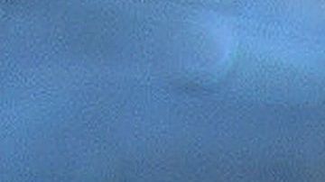 Los cojinetes de los canes puden limpiarse con agua y jabón o toallitas húmedas para perro.