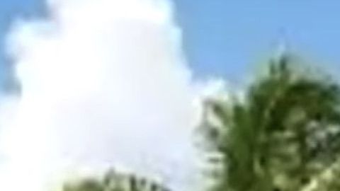 La subdirectora de Gestión de Emergencia de FIU, Bridge Peláez.